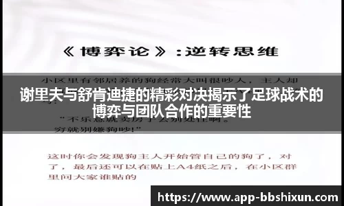 谢里夫与舒肯迪捷的精彩对决揭示了足球战术的博弈与团队合作的重要性